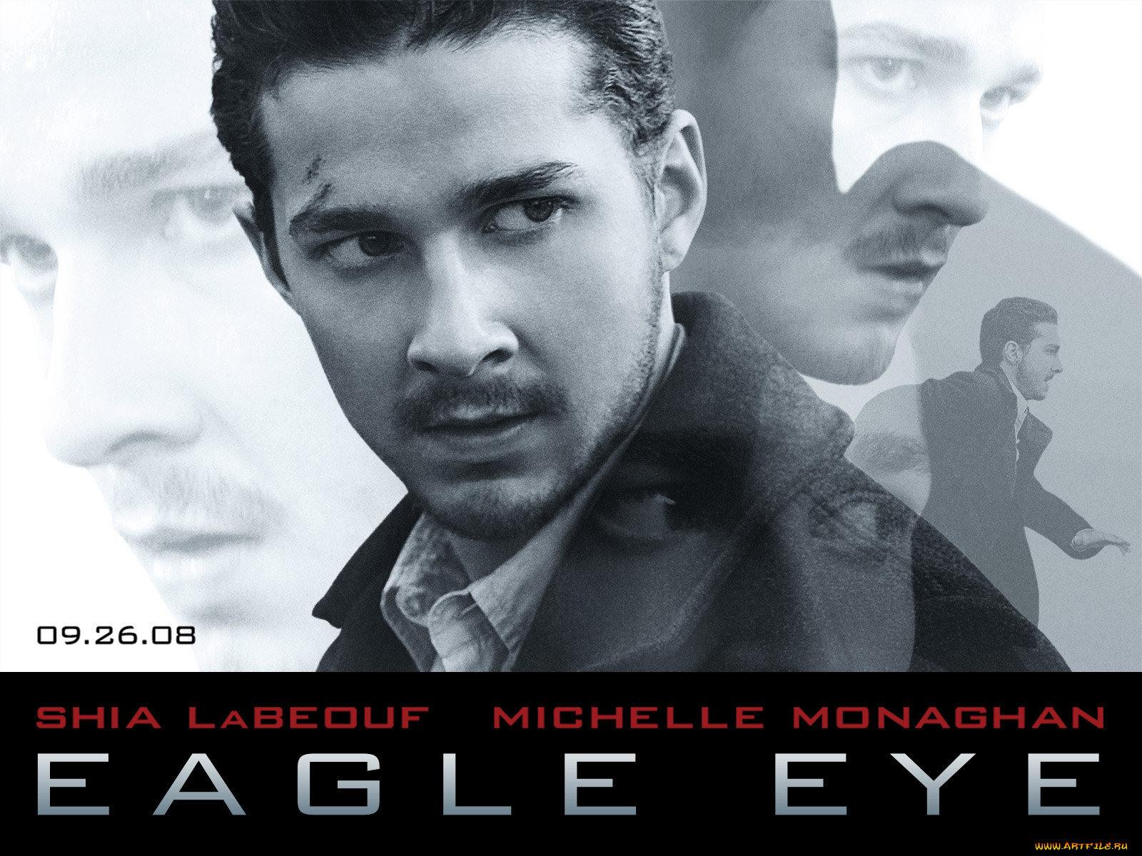 eagle, eye, , 